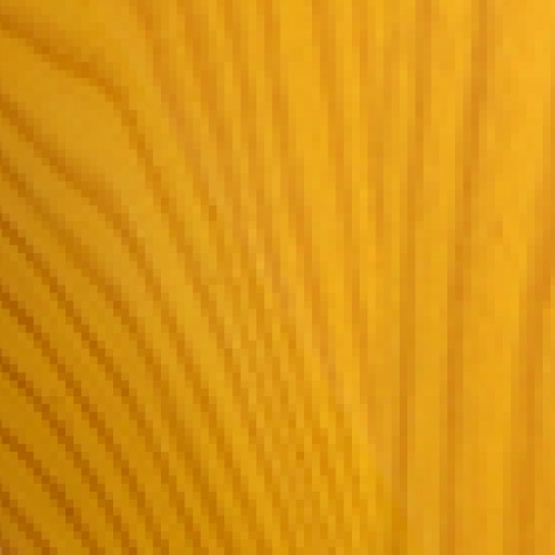 ANA(Amber Natural)