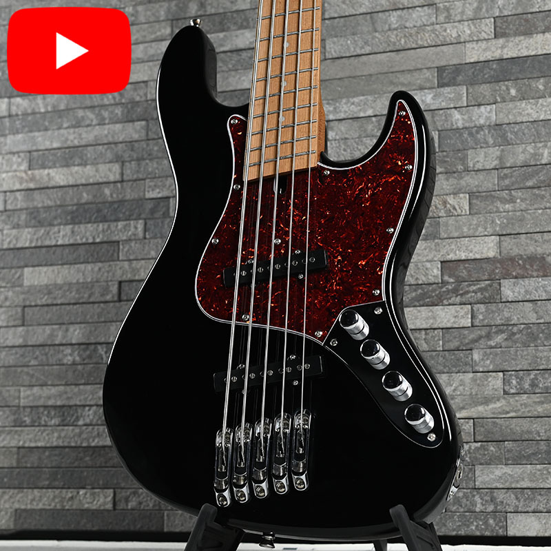 WJB5-1MS-DX-AC RSM/M BLK