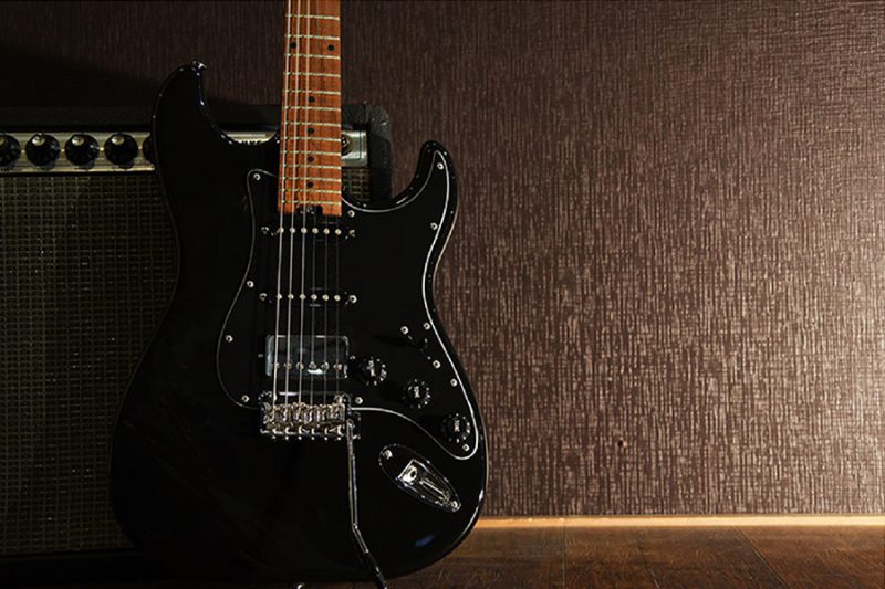 Bacchus Guitars | Deviser ｜株式会社ディバイザー｜長野県松本市の