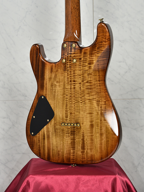 ROSETTA-Premium/FT #545 | Deviser ｜株式会社ディバイザー｜長野県