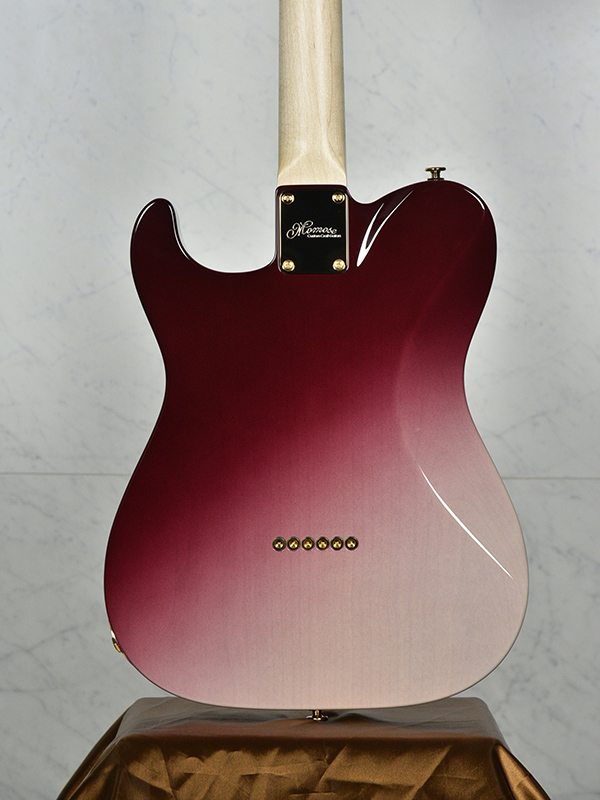 MT-YOSHINOZAKURA WSE'25/E | Deviser ｜株式会社ディバイザー｜長野県