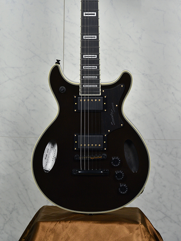 ブラック エレキギター 鷲デザイン ALBATROSS SPRUCE WSE'25/E TBK | Deviser ｜株式会社ディバイザー