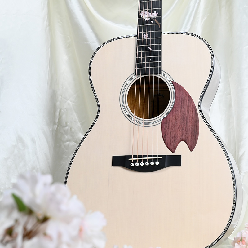 HF-FUYUZAKURA’25/STD